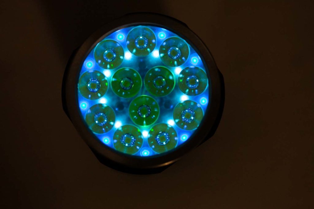 Fireflies blue and green AUX lights